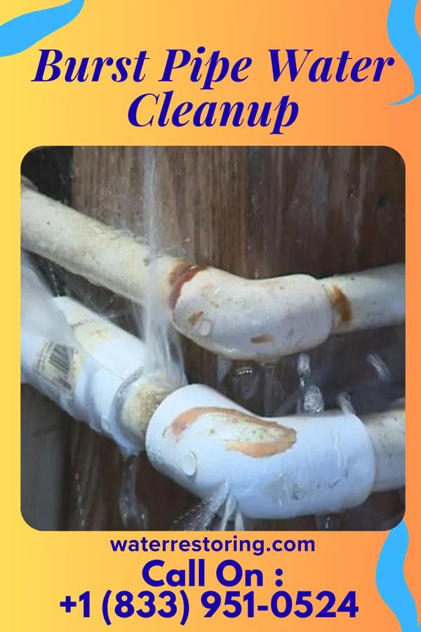 Burst Pipe Water Cleanup in Harmony, PA