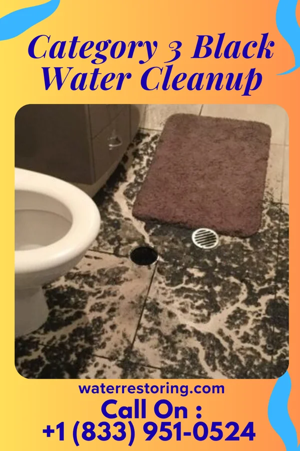 Category 3 Black Water Cleanup in Harmony, PA
