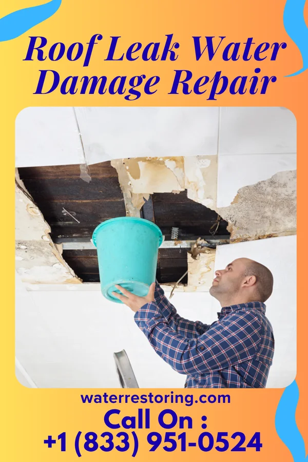 Roof Leak Water Damage Repair in Harmony, PA
