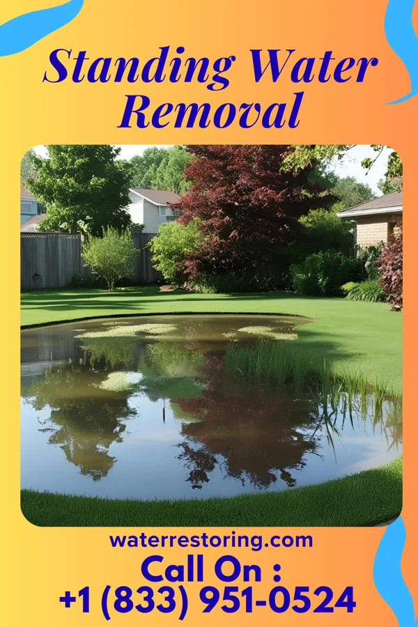 Standing Water Removal in Harmony, PA